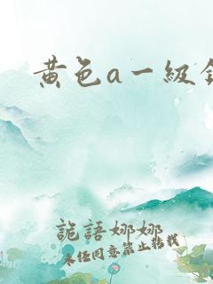 黄色a一级录像