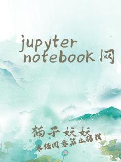 jupyter notebook网页版怎么打开