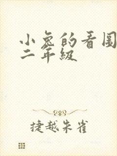 小兔的看图写话二年级