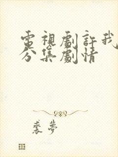 电视剧许我耀眼分集剧情