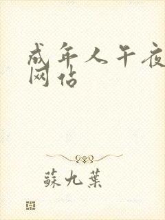 成年人午夜影院网站