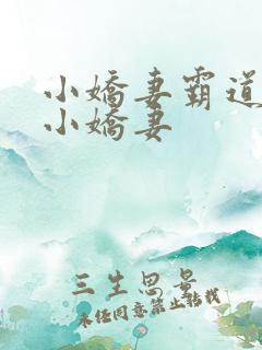 小娇妻霸道总裁小娇妻