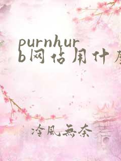 purnhurb网站用什么浏览器可以打开