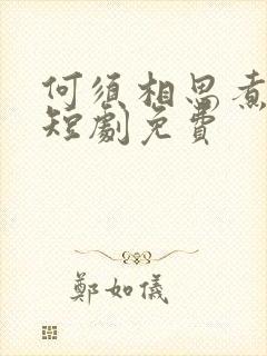 何须相思煮余年短剧免费