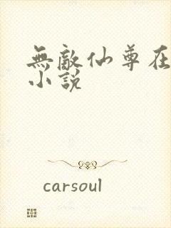 无敌仙尊在都市小说