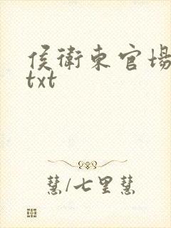 侯卫东官场笔记txt