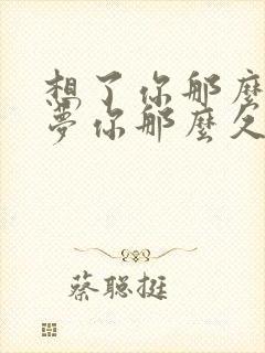 想了你那么久我梦你那么久是什么歌