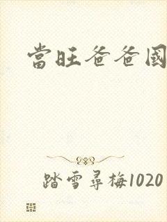 当旺爸爸国语版