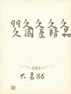 99久久久久久久国产精品