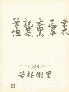 笔记本正常启动但是黑屏不显示桌面