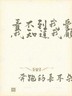 看不到我爱的人,我知道我愿意再等