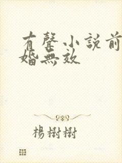 有声小说前妻离婚无效