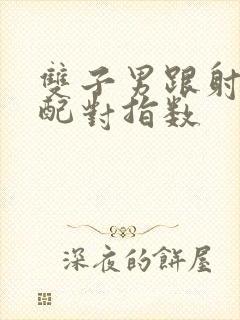 双子男跟射手女配对指数