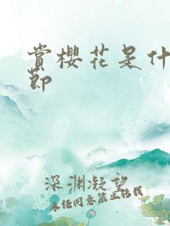 赏樱花是什么季节