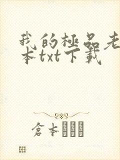 我的极品老婆完本txt下载