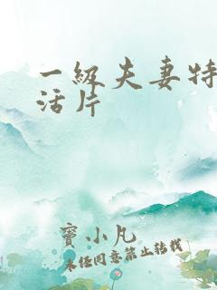 一级夫妻特黄生活片