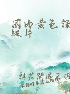 国内黄色录像一级片