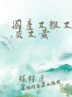 国产又粗又猛又,爽又黄