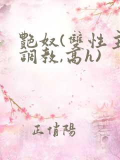 艳奴(双性主奴调教,高h)