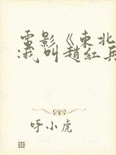 电影《东北往事:我叫赵红兵》