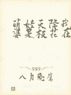 萌娃天降我的老婆是校花在线观看