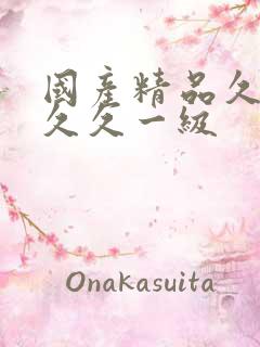 国产精品久久久久久一级