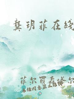 龚玥菲在线播放