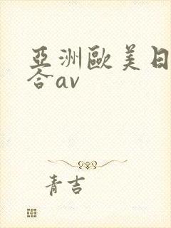 亚洲欧美日韩综合av