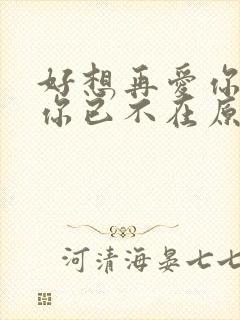 好想再爱你可是你已不在原唱