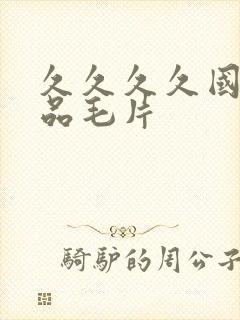 久久久久国产精品毛片