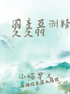 国产亚洲精品久久久99