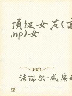 顶级女友(高h,np)女