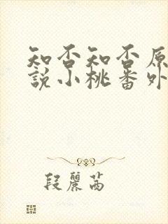 知否知否原著小说小桃番外