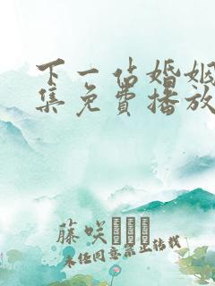 下一站婚姻40集免费播放