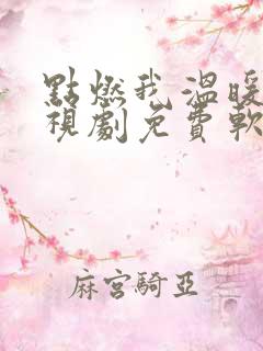 点燃我温暖你电视剧免费软件