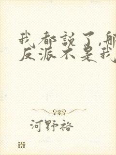 我都说了,那个反派不是我