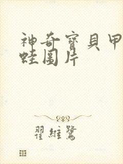 神奇宝贝甲贺忍蛙图片