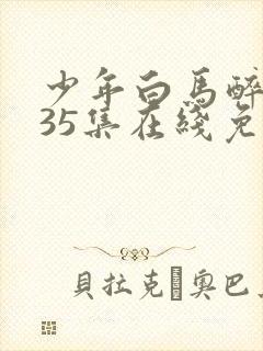 少年白马醉春风35集在线免费观看