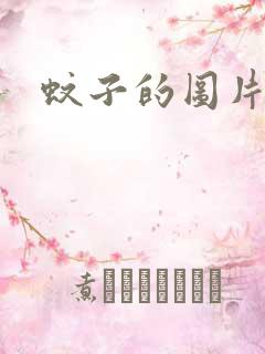 蚊子的图片卡通