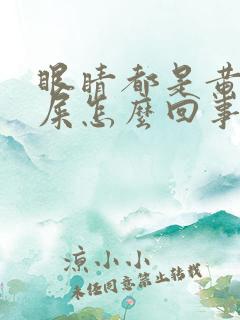 眼睛都是黄色眼屎怎么回事