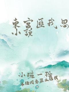 东宫匪我思存的小说