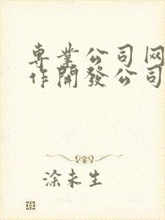 专业公司网站制作开发公司