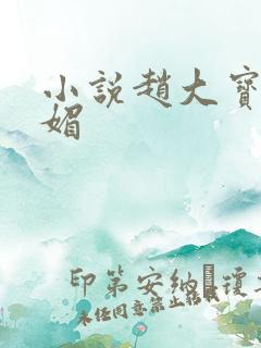 小说赵大宝,苏媚