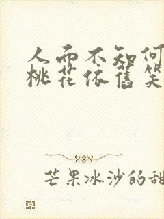 人面不知何处去桃花依旧笑春风翻译