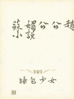 苏媚公公赵大宝小说