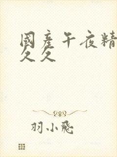 国产午夜精品久久久