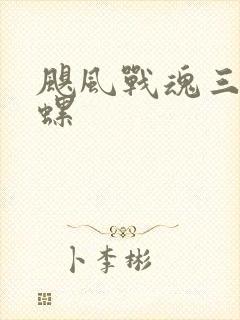 飓风战魂三代陀螺