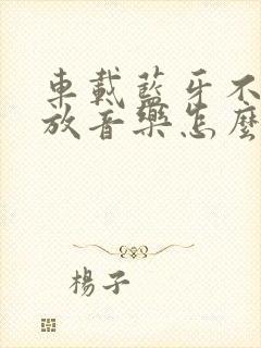 车载蓝牙不能播放音乐怎么办