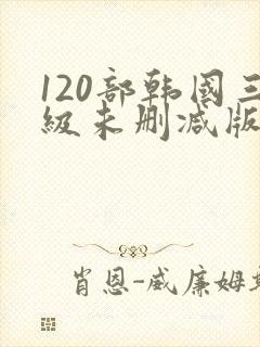 120部韩国三级未删减版