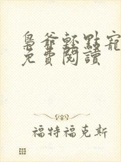 枭爷轻点宠全文免费阅读